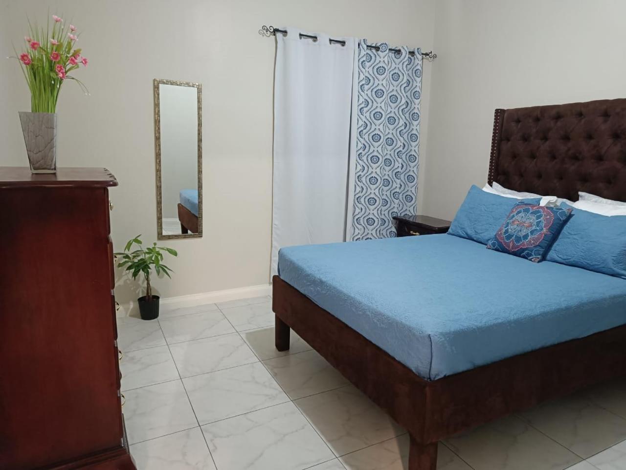 Lovely 2 Bedroom C̅ Netflix Across National Stadium Кингстон Экстерьер фото